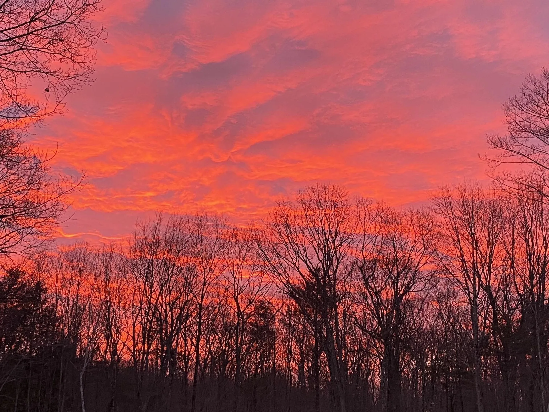 23 Century Pines Drive Barrington NH 03825