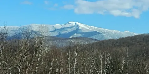 6 Fox Lane Westford VT 05494