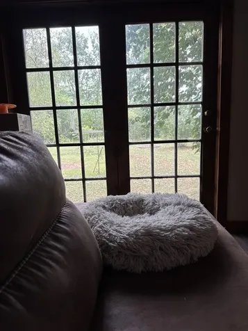 1781 Jersey Street South Addison VT 05491