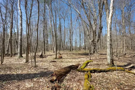 1884 North Road Hinesburg VT 05461