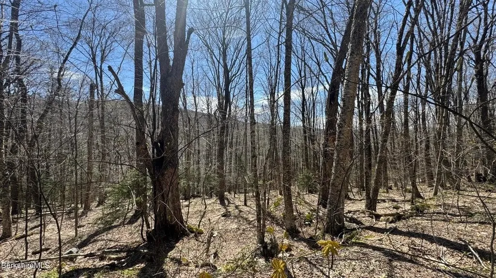 0 Aplendorf Avenue Readsboro VT 05350