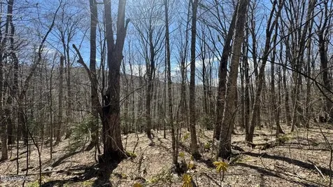 0 Aplendorf Avenue Readsboro VT 05350