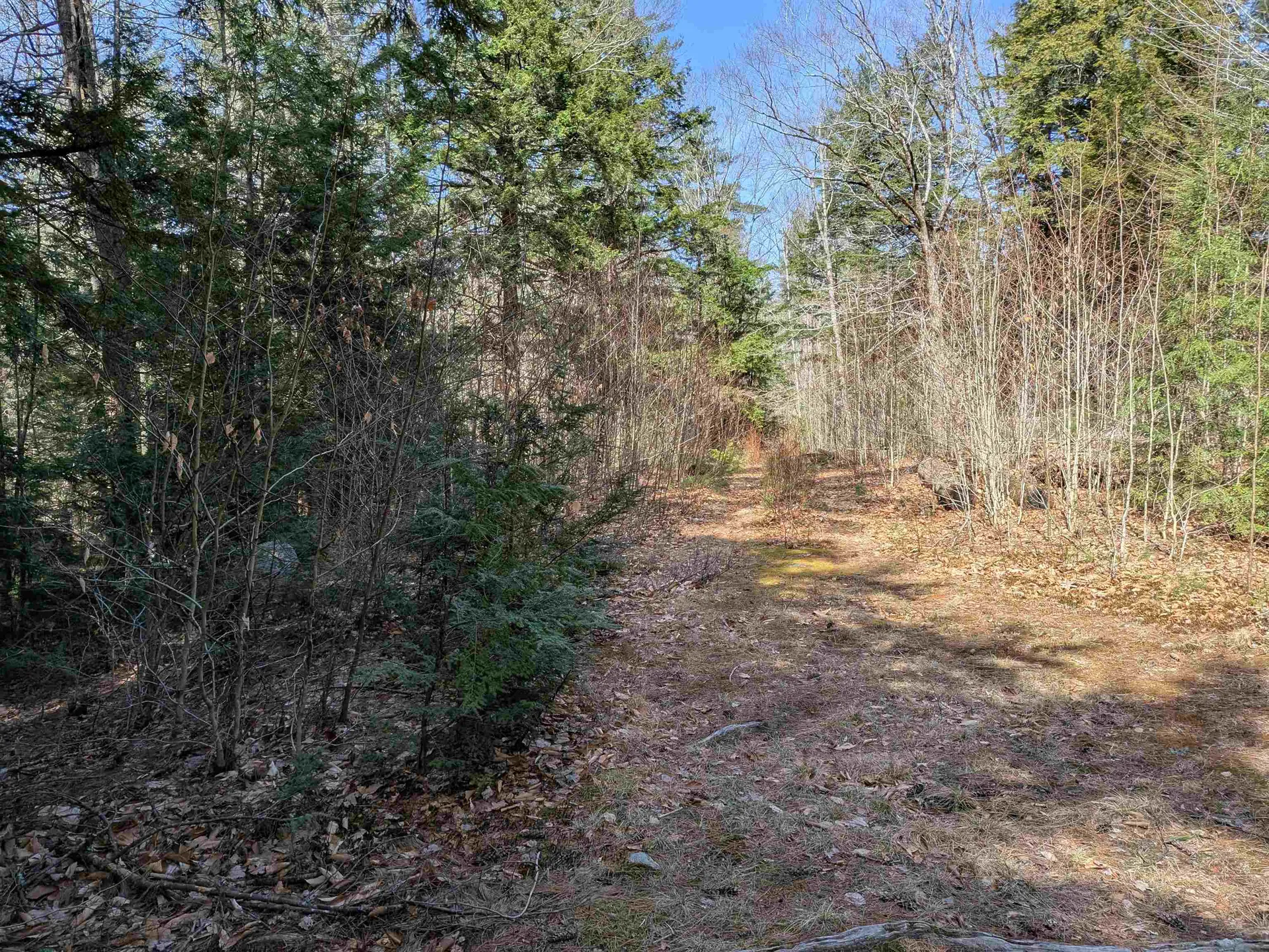 2-56 Caesars Road Mont Vernon NH 03057