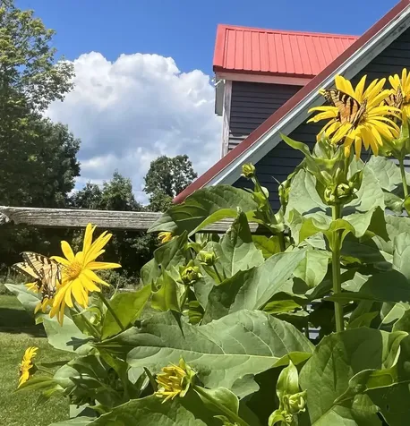 1126 Jefferson Hill Road Newbury VT 05051