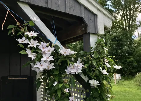 1126 Jefferson Hill Road Newbury VT 05051