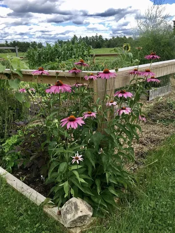 1126 Jefferson Hill Road Newbury VT 05051