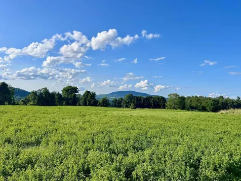 1126 Jefferson Hill Road Newbury VT 05051