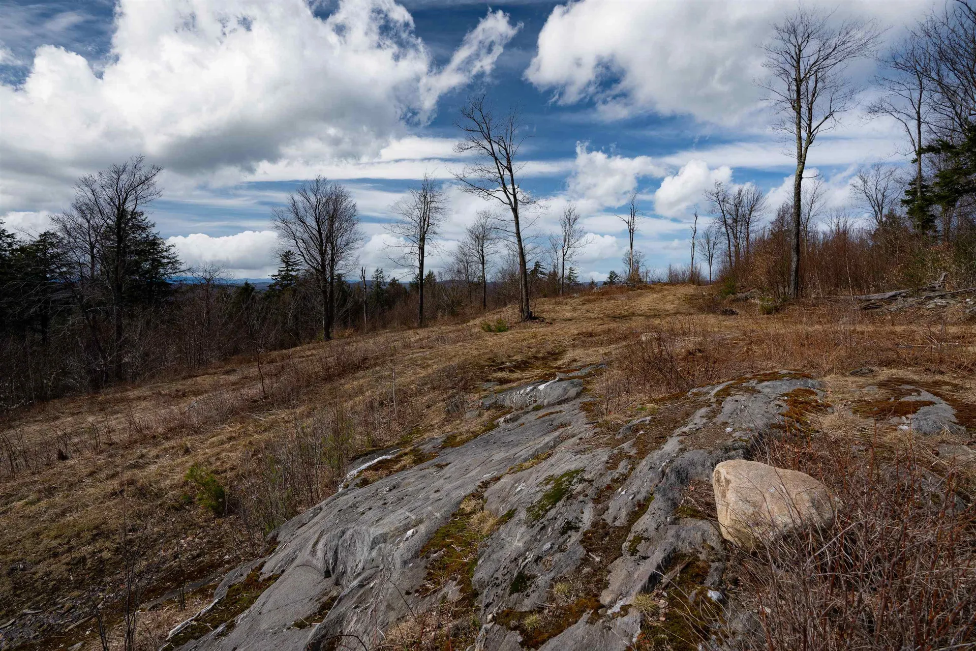 00 Chapel Hill Road Sharon VT 05065