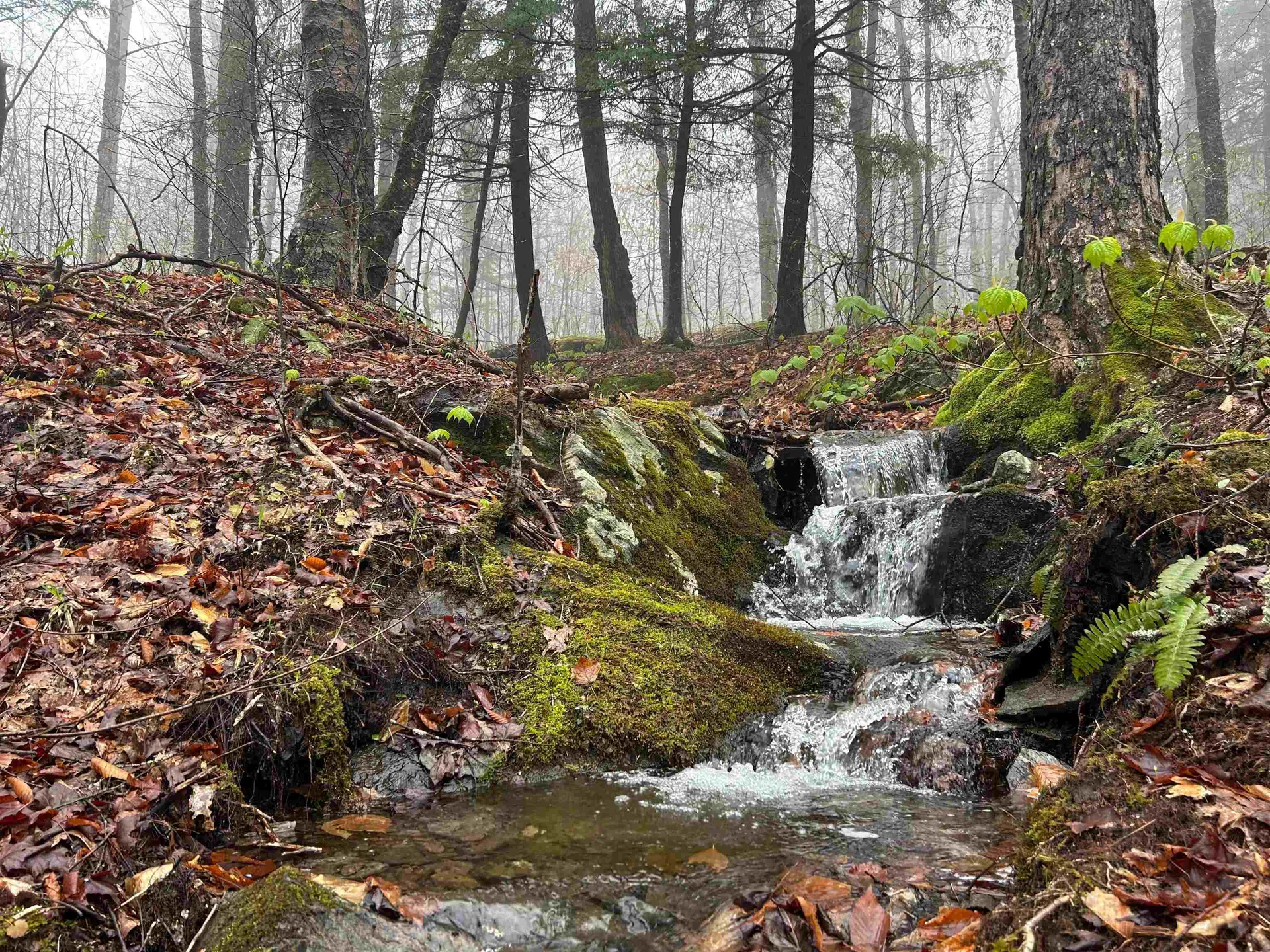 00 Chapel Hill Road Sharon VT 05065