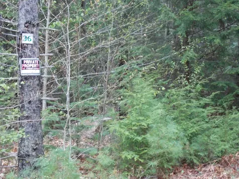 00 Poliquin Drive Conway NH 03818
