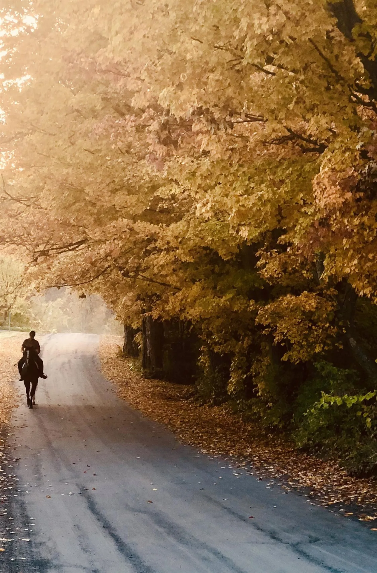 325 Cemetery Road West Windsor VT 05089