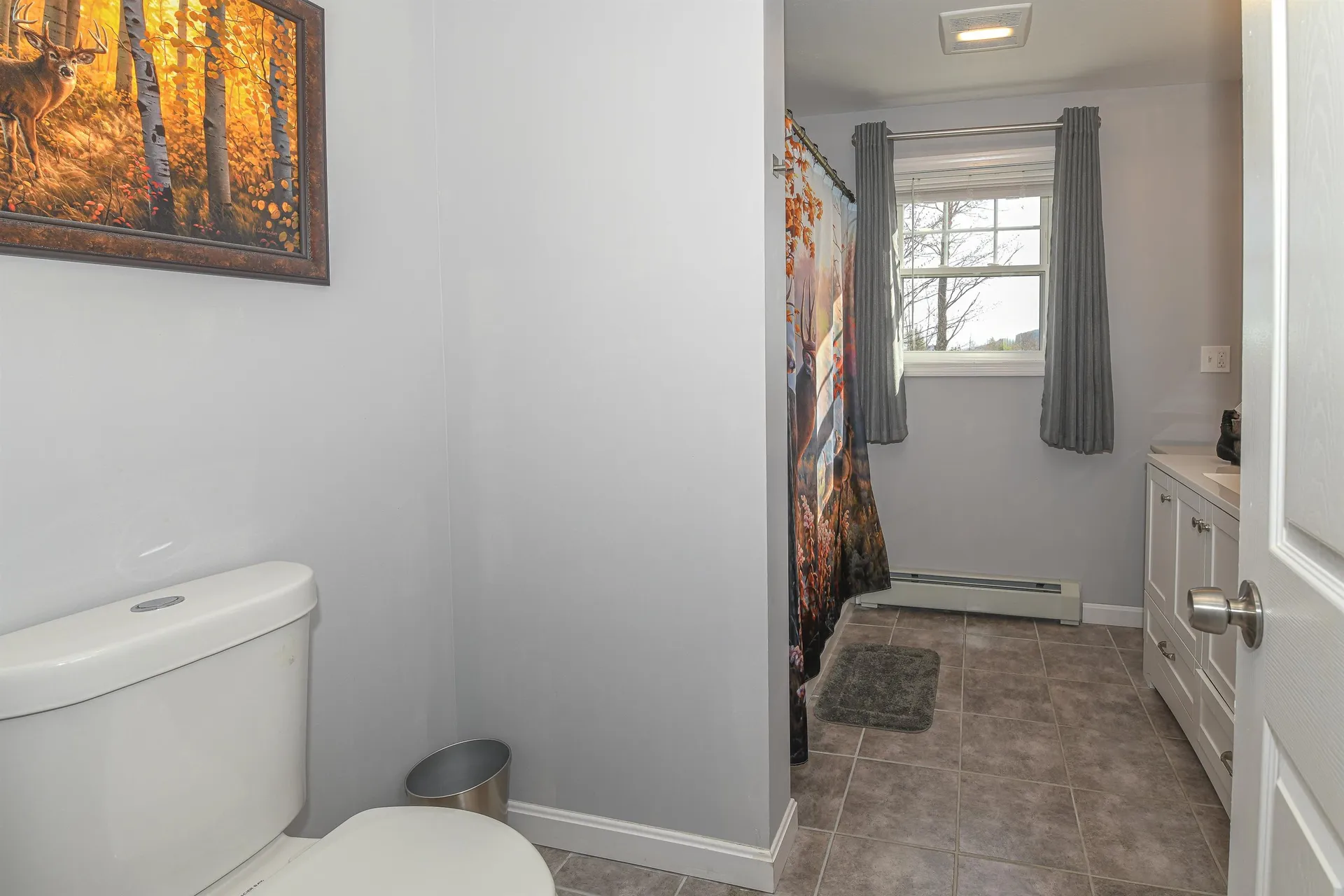 293 Pemigewasset Drive Conway NH 03813