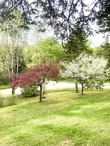 152 Laclair Lane Barton VT 05822