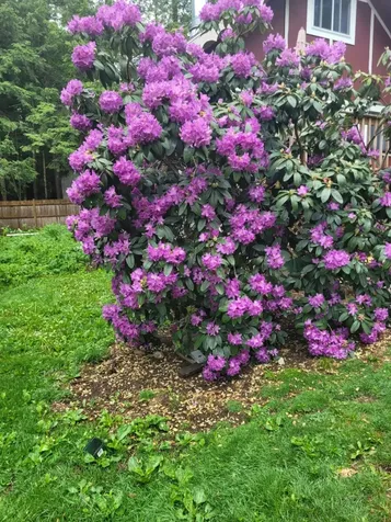 11 Turtle Bridge Crossing Hillsborough NH 03244