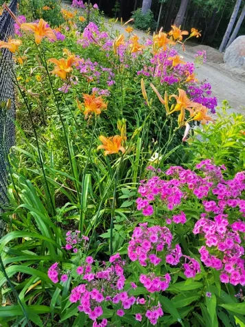 11 Turtle Bridge Crossing Hillsborough NH 03244