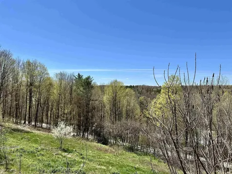 158 Burr Pond Road Sudbury VT 05733