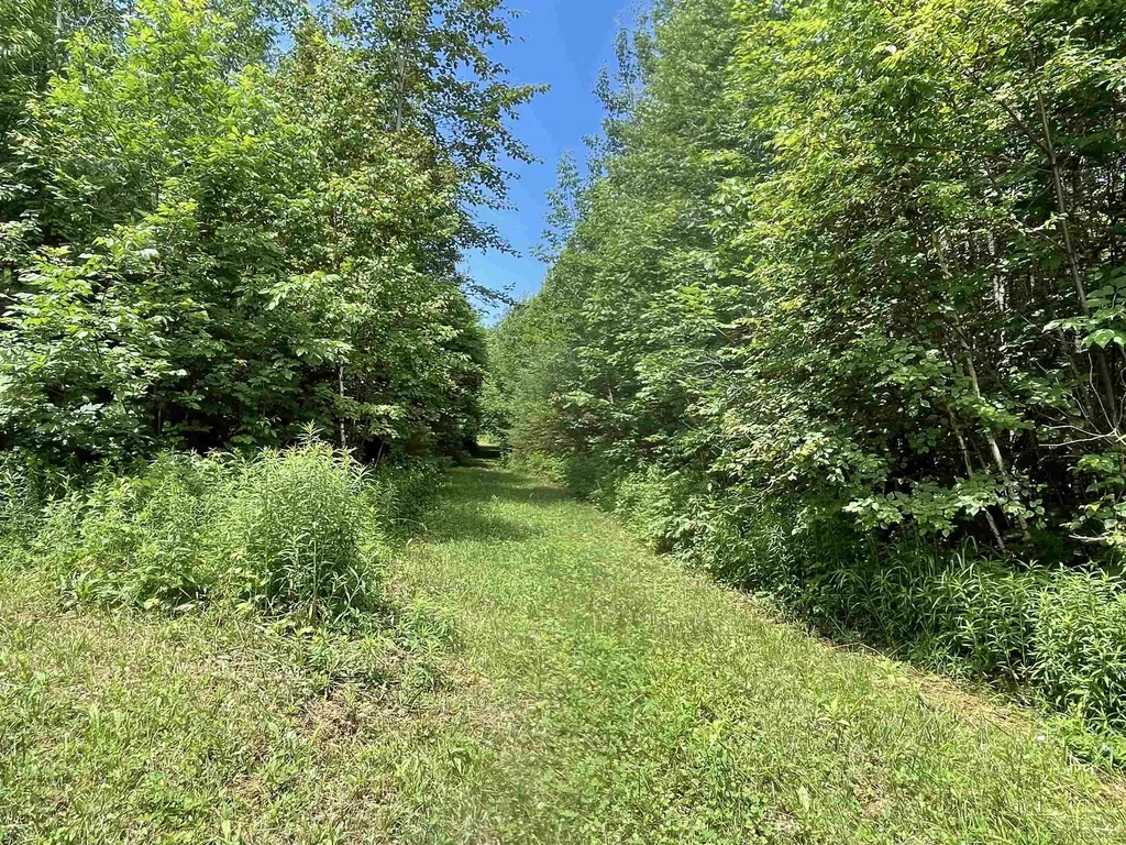 00 Goose Green Road Vershire VT 05079