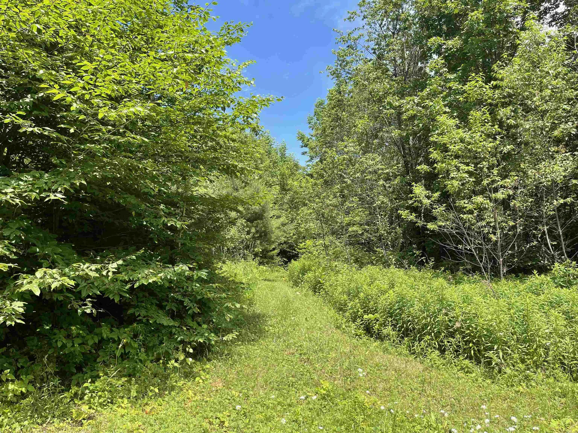 00 Goose Green Road Vershire VT 05079