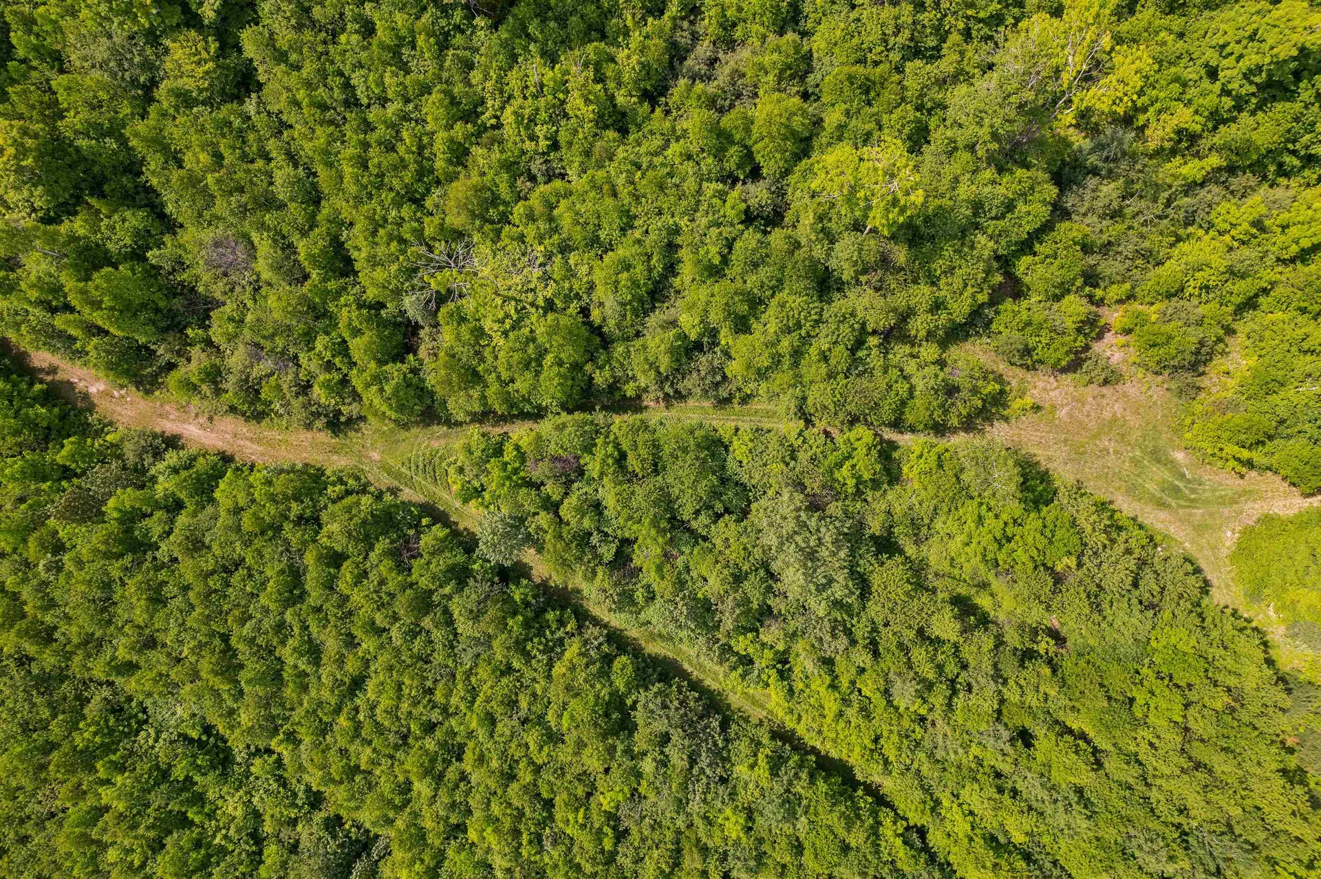 00 Goose Green Road Vershire VT 05079