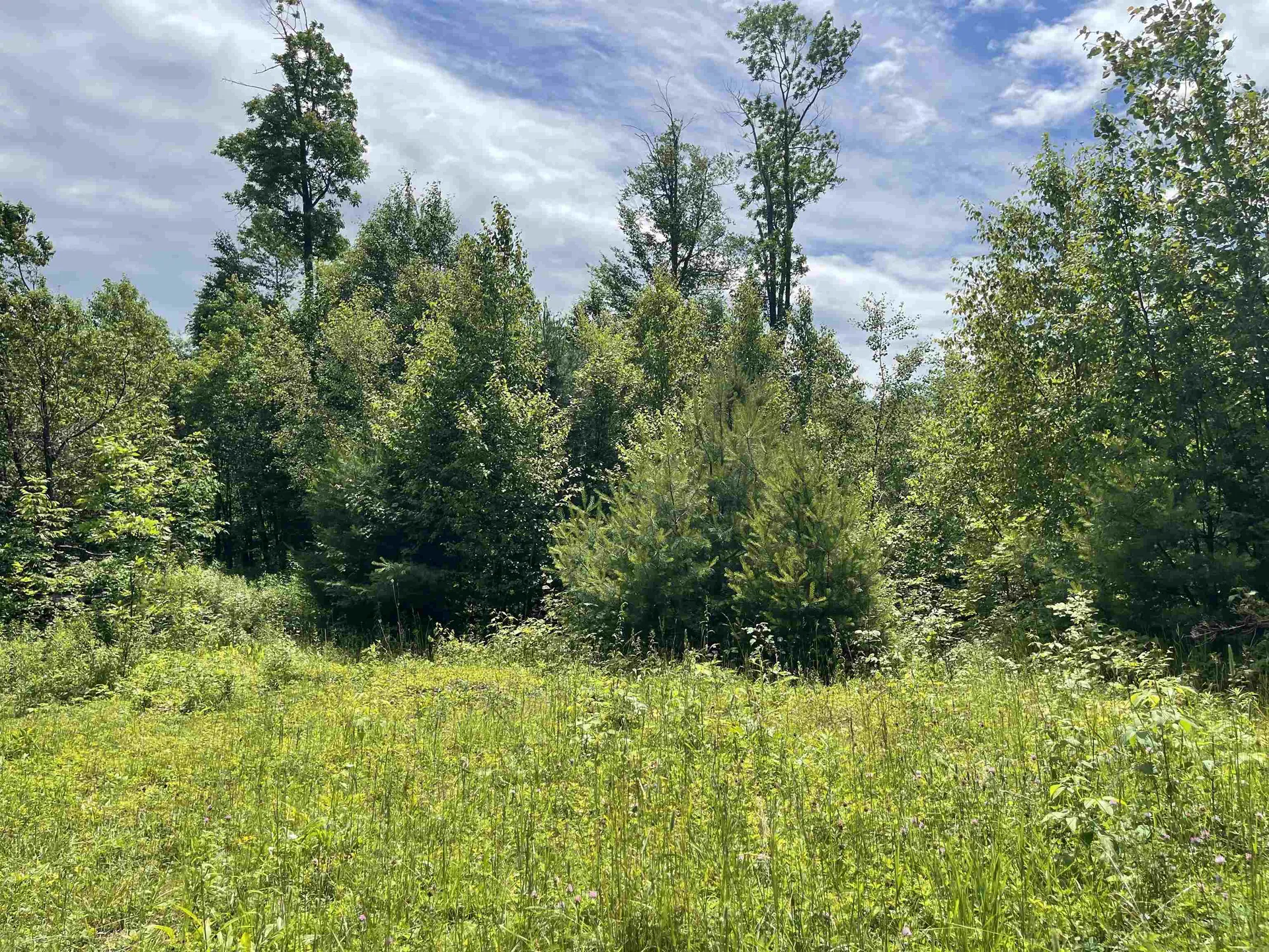 00 Goose Green Road Vershire VT 05079