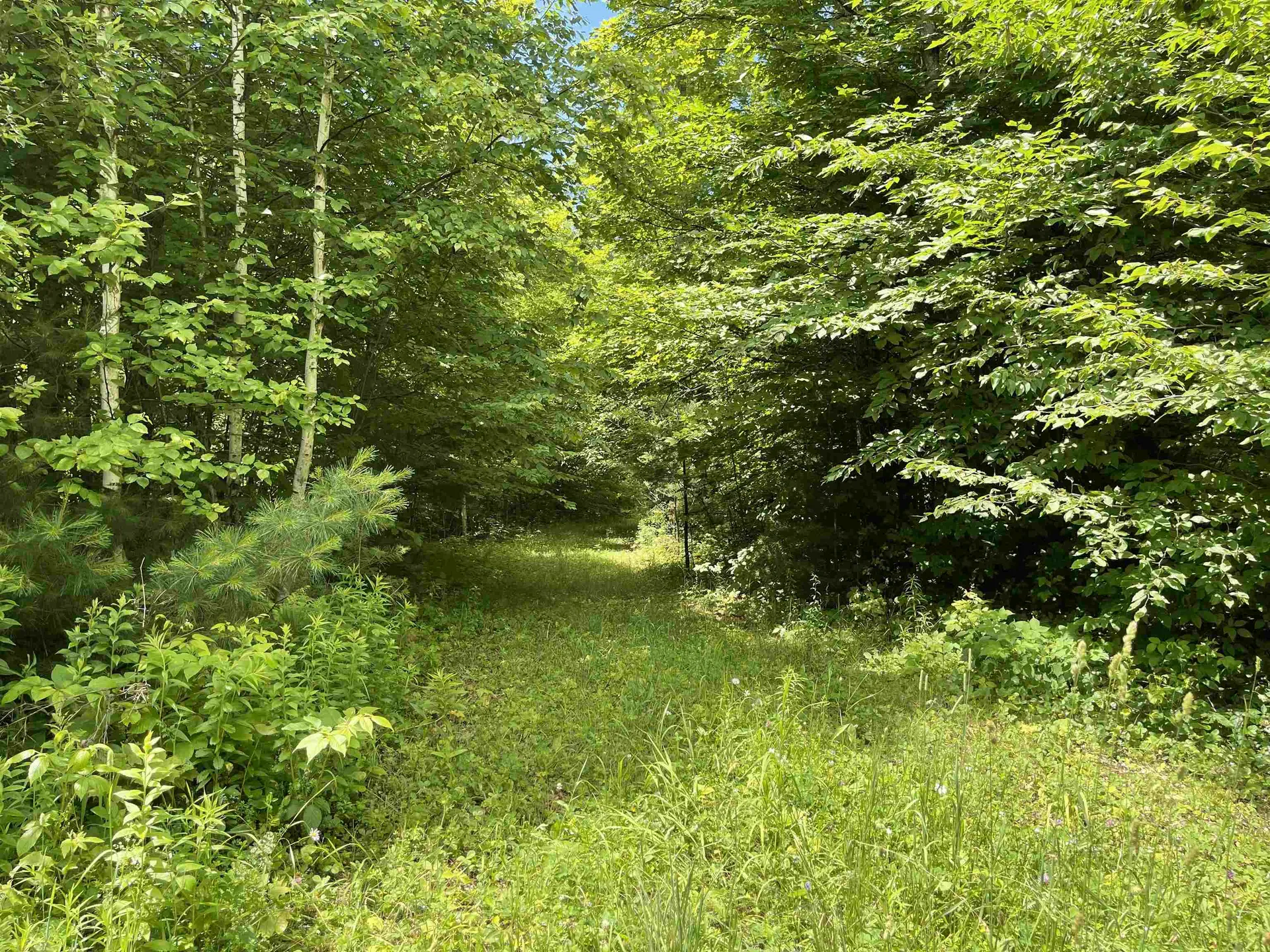 00 Goose Green Road Vershire VT 05079