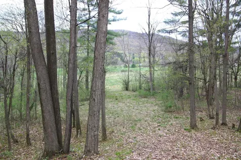 6867 Vt Route 22a Addison VT 05491