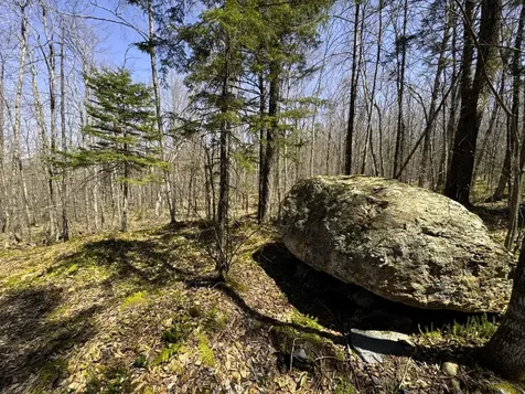 0 Butz Road Granville VT 05747