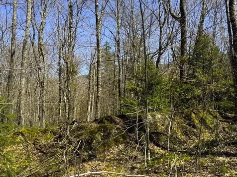 0 Butz Road Granville VT 05747