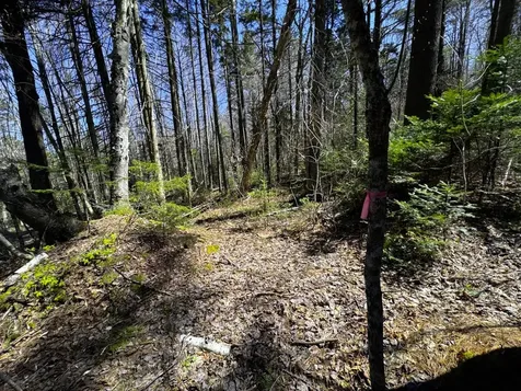 0 Butz Road Granville VT 05747