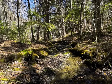 0 Butz Road Granville VT 05747