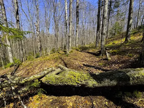 0 Butz Road Granville VT 05747