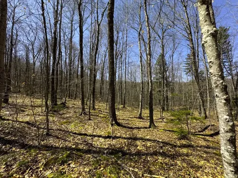 0 Butz Road Granville VT 05747