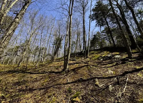 0 Butz Road Granville VT 05747