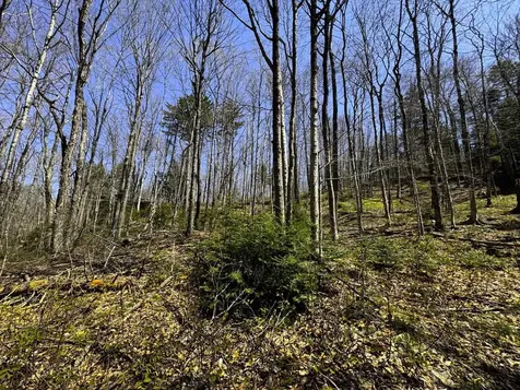 0 Butz Road Granville VT 05747