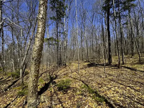 0 Butz Road Granville VT 05747