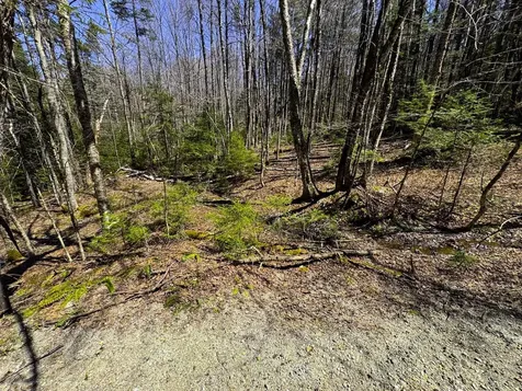 0 Butz Road Granville VT 05747