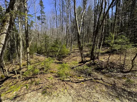 0 Butz Road Granville VT 05747