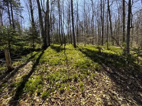 0 Butz Road Granville VT 05747