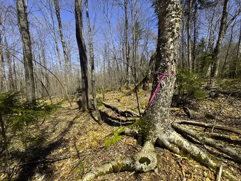 0 Butz Road Granville VT 05747