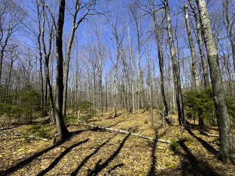 0 Butz Road Granville VT 05747