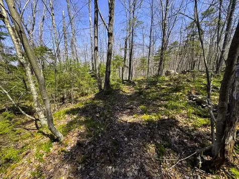 0 Butz Road Granville VT 05747