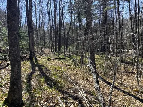 0 Butz Road Granville VT 05747