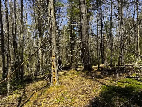 0 Butz Road Granville VT 05747