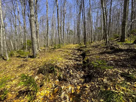 0 Butz Road Granville VT 05747