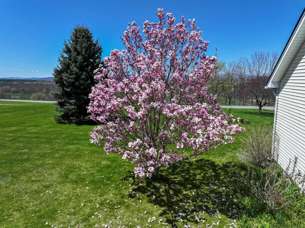 1689 South Street New Haven VT 05472