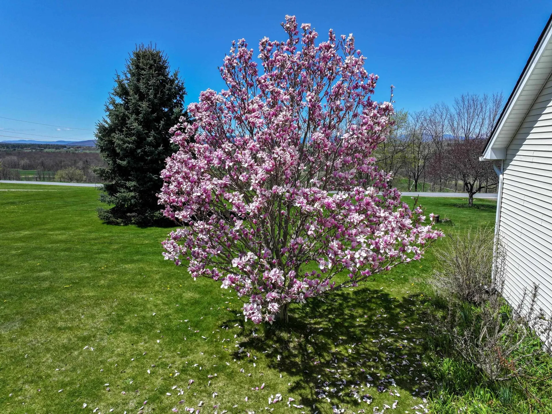 1689 South Street New Haven VT 05472