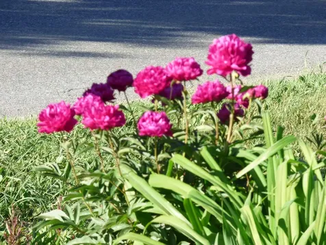 8 Wildlife Road Stowe VT 05672