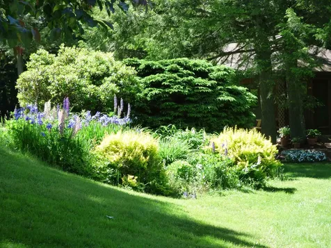 8 Wildlife Road Stowe VT 05672