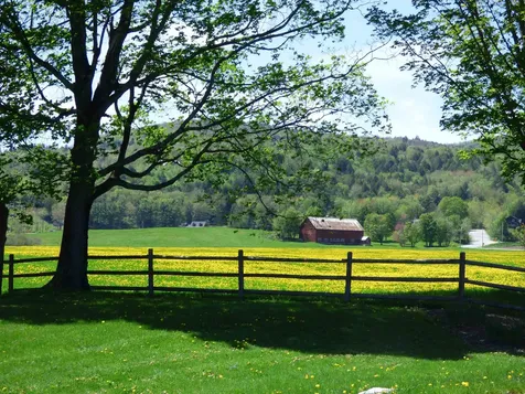 8 Wildlife Road Stowe VT 05672