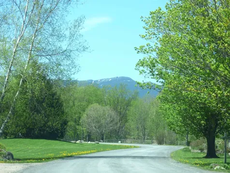 8 Wildlife Road Stowe VT 05672